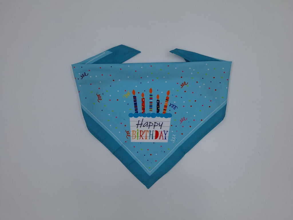 Birthday Boy Multicolor