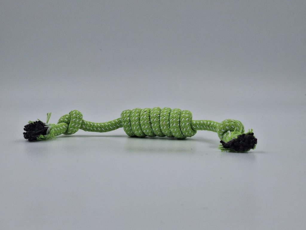 Birthday Boy Multicolor