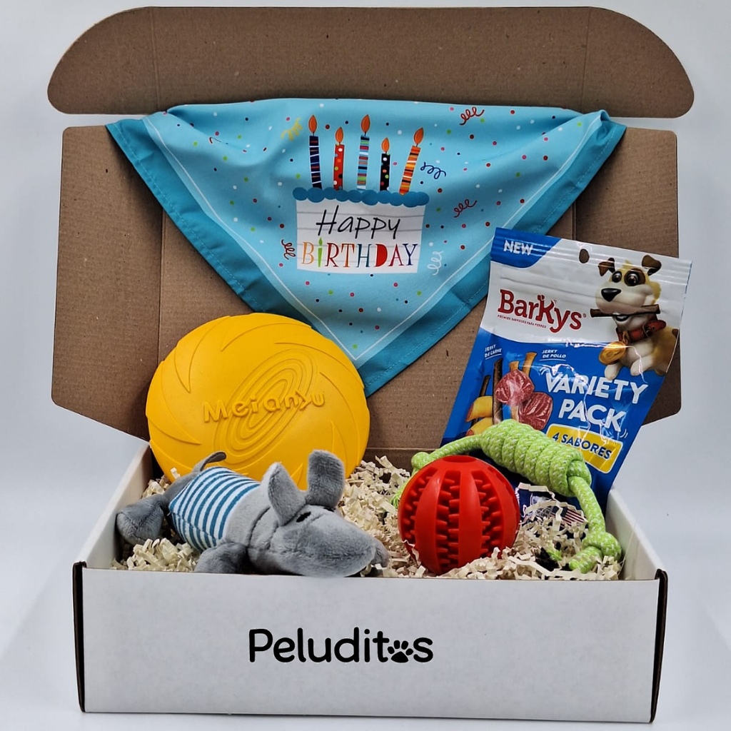 Birthday Boy Multicolor